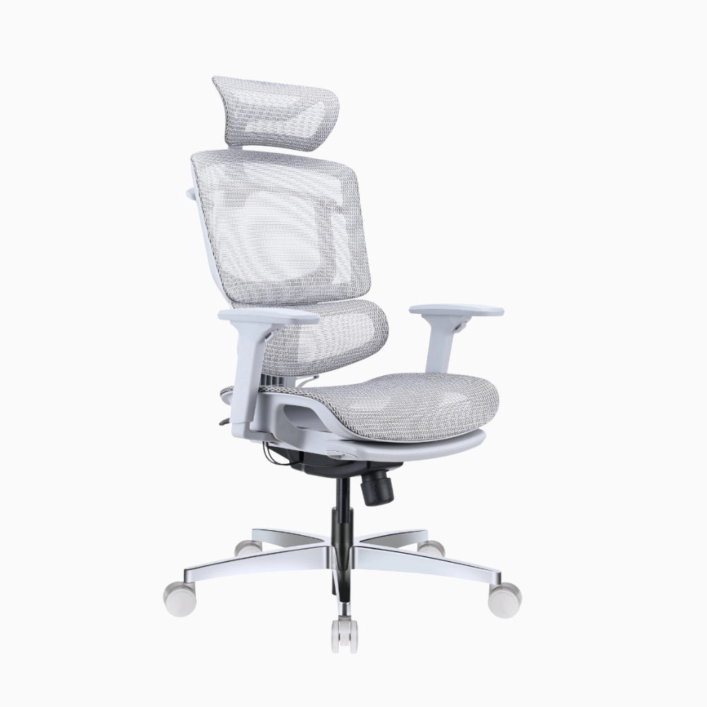 lumiva ergonomic chair