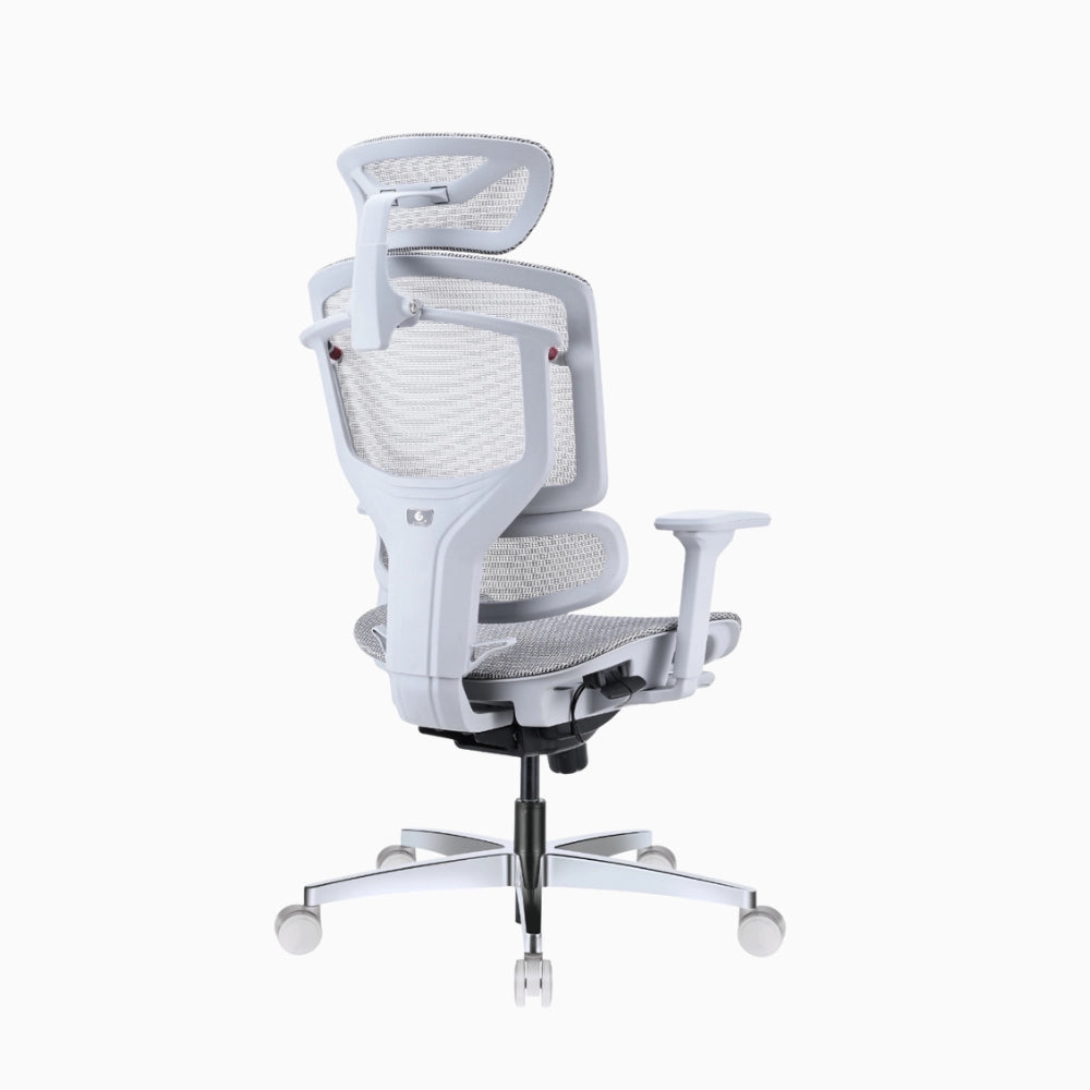 lumiva ergonomic chair