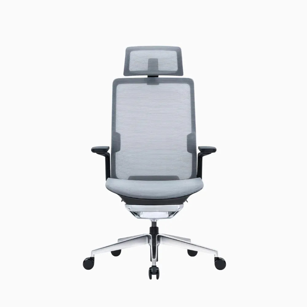 eva ergonomic chair