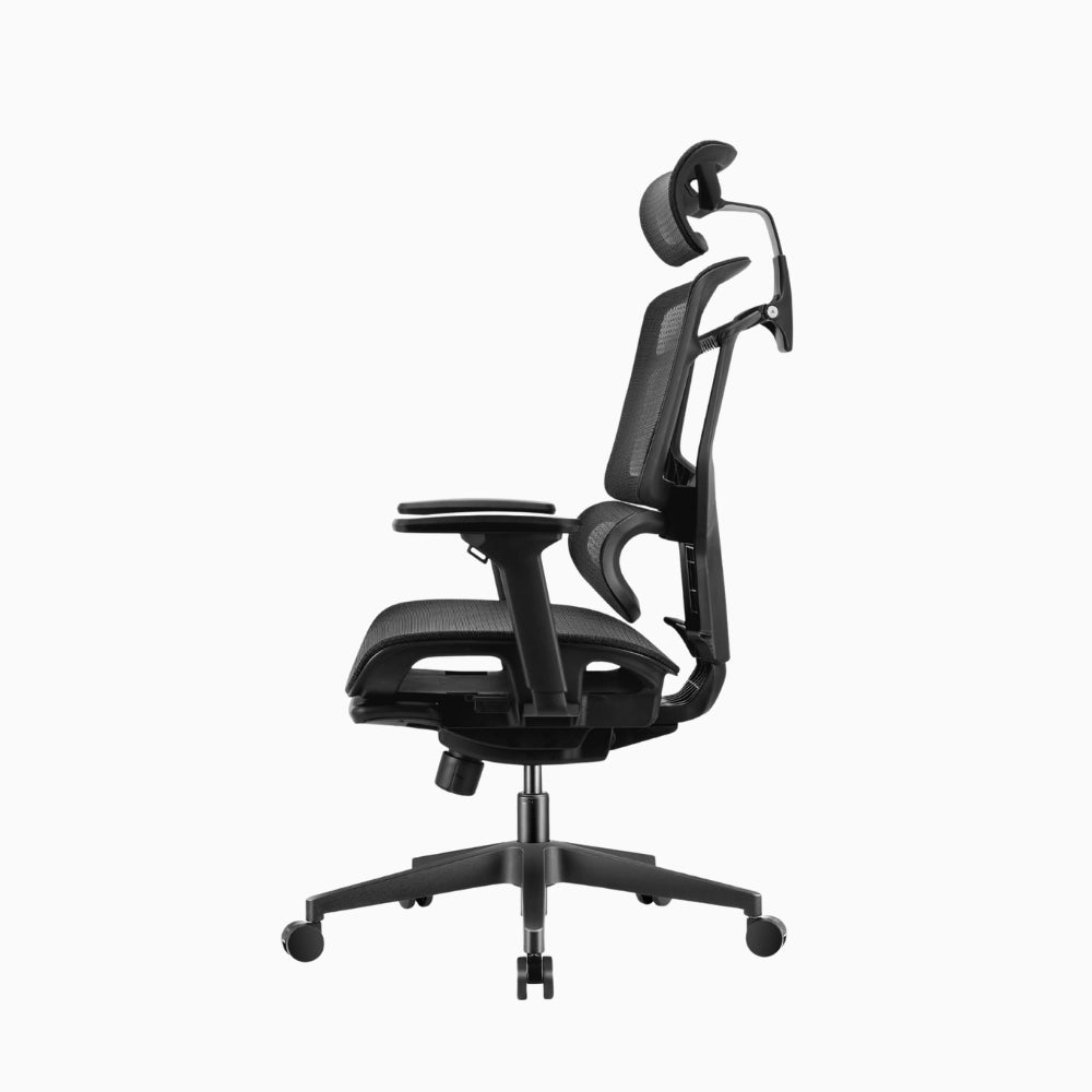 lumiva ergonomic chair