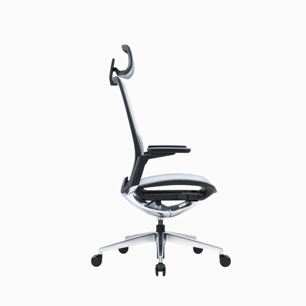 eva ergonomic chair