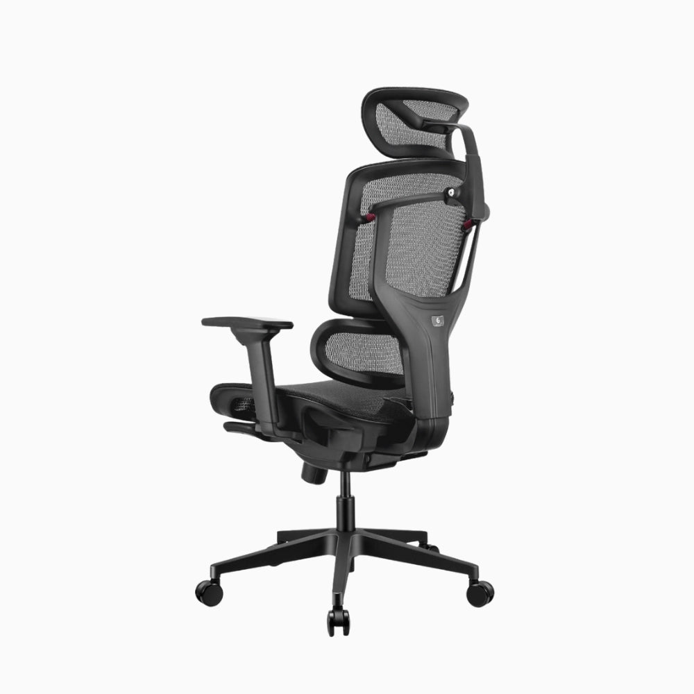 lumiva ergonomic chair