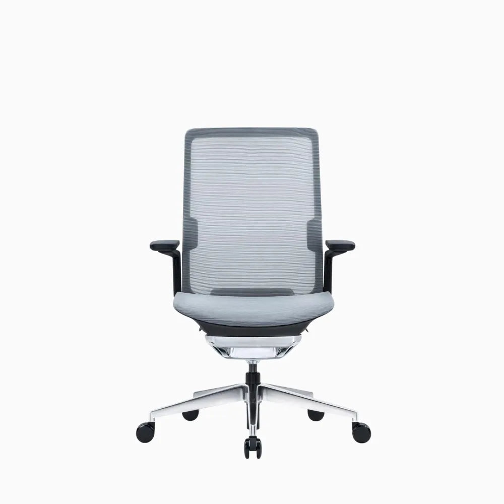 eva ergonomic chair
