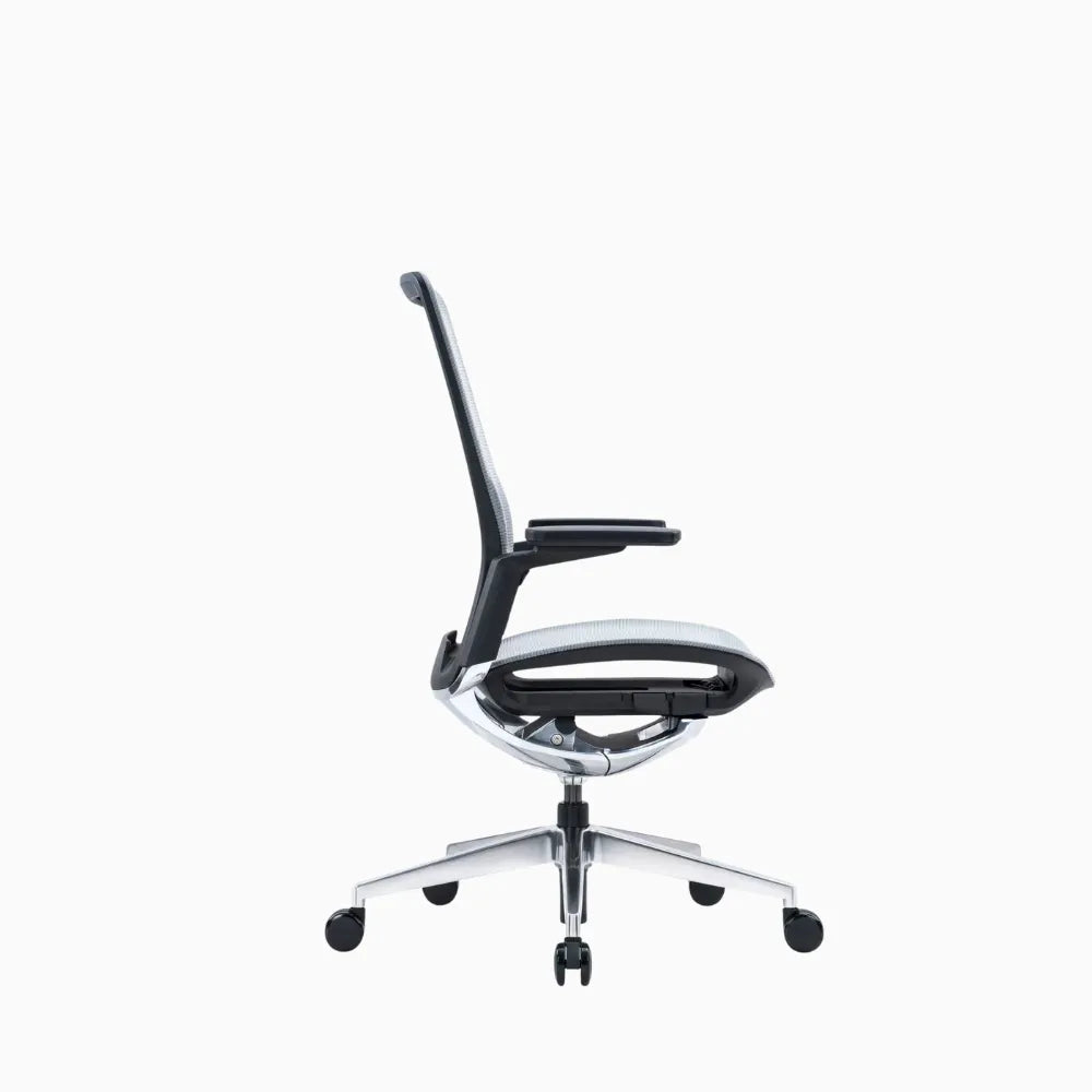 eva ergonomic chair