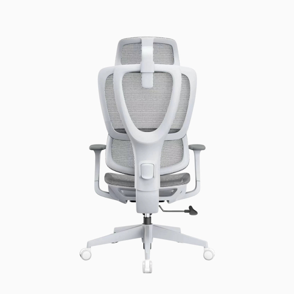 lumbar support chair