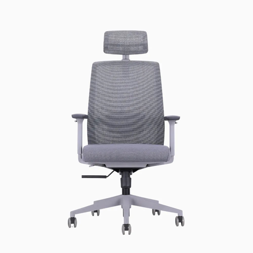 UE ergonomic chair in cushion 