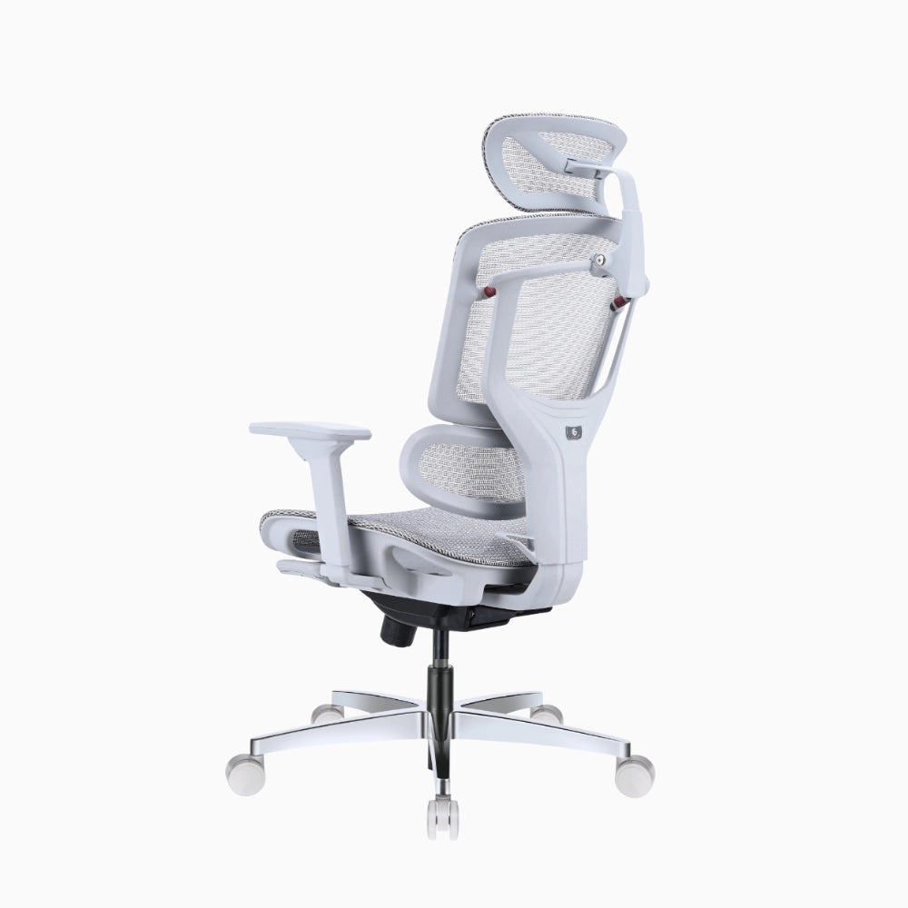 lumiva ergonomic chair 