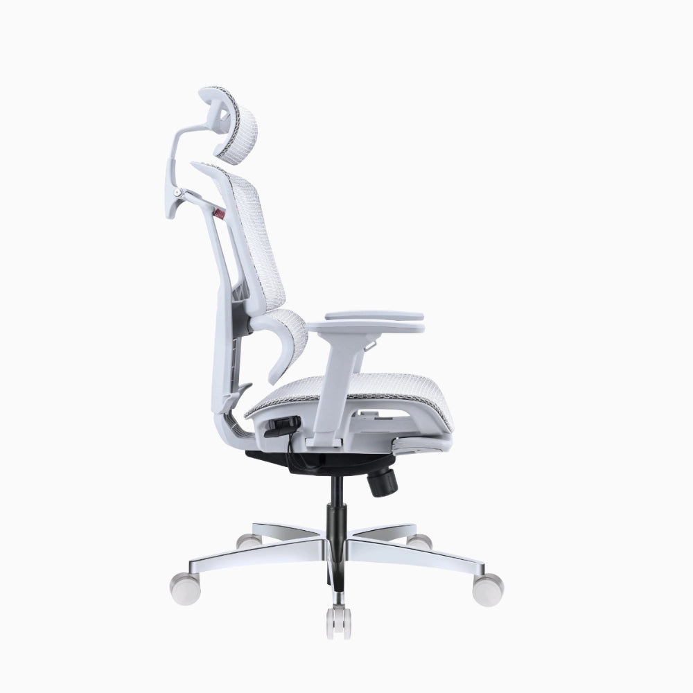 lumiva ergonomic chair 