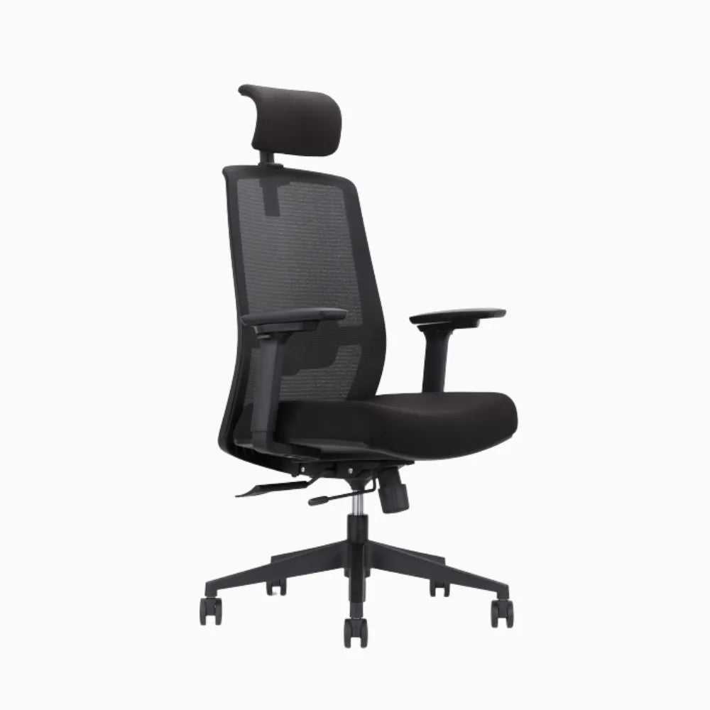 UE ergonomic chair in cushion #color_black