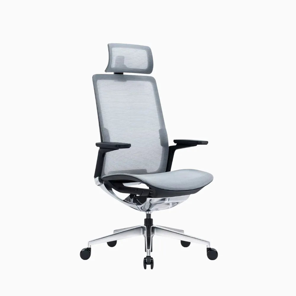 eva ergonomic chair #size_high-back