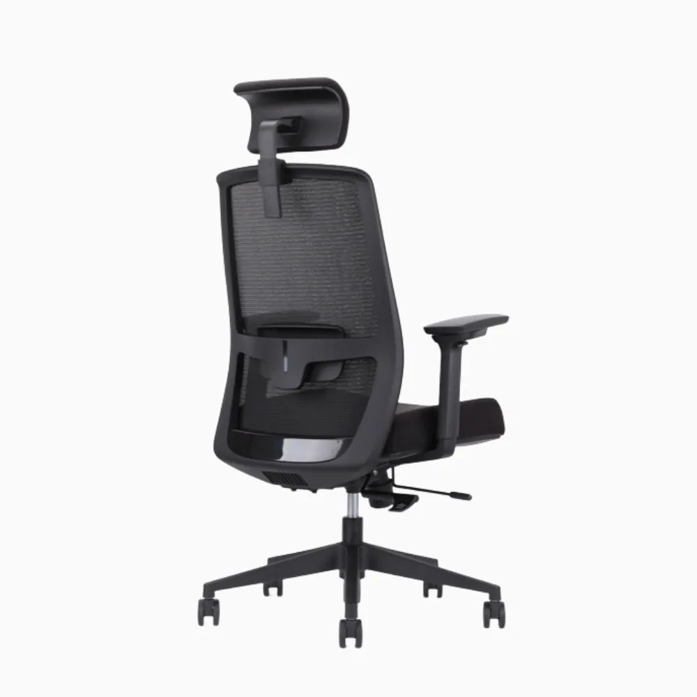 UE ergonomic chair in cushion 