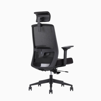 UE ergonomic chair in cushion 