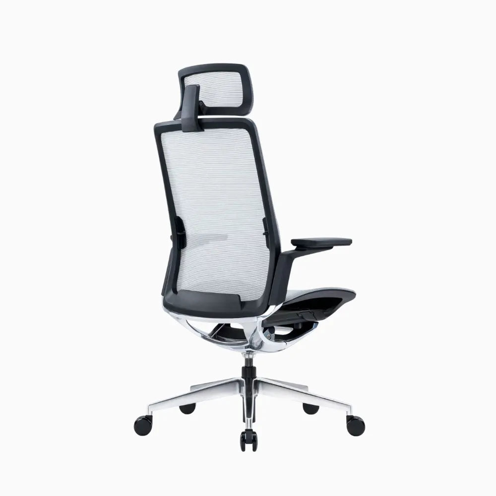 eva ergonomic chair 