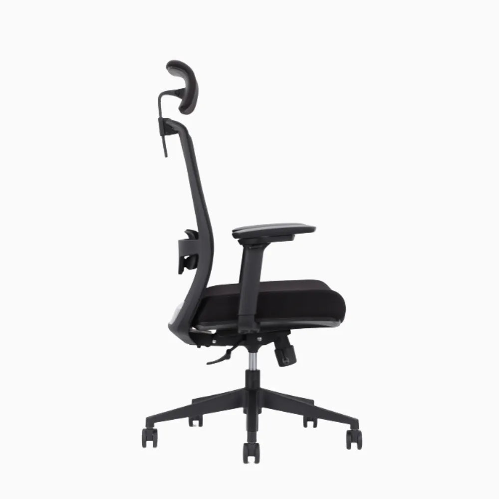 UE ergonomic chair in cushion 