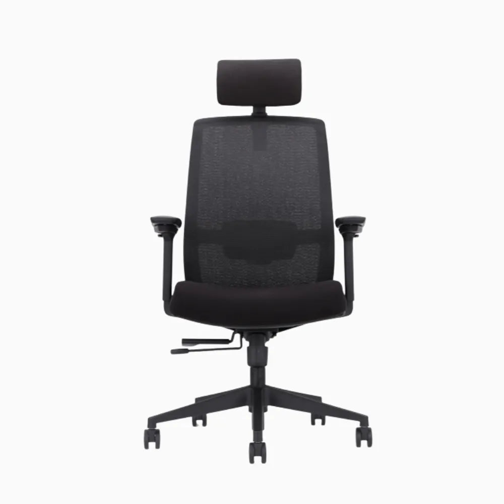 UE ergonomic chair in cushion 