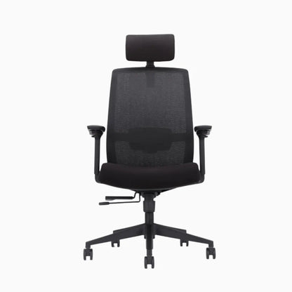 UE ergonomic chair in cushion 