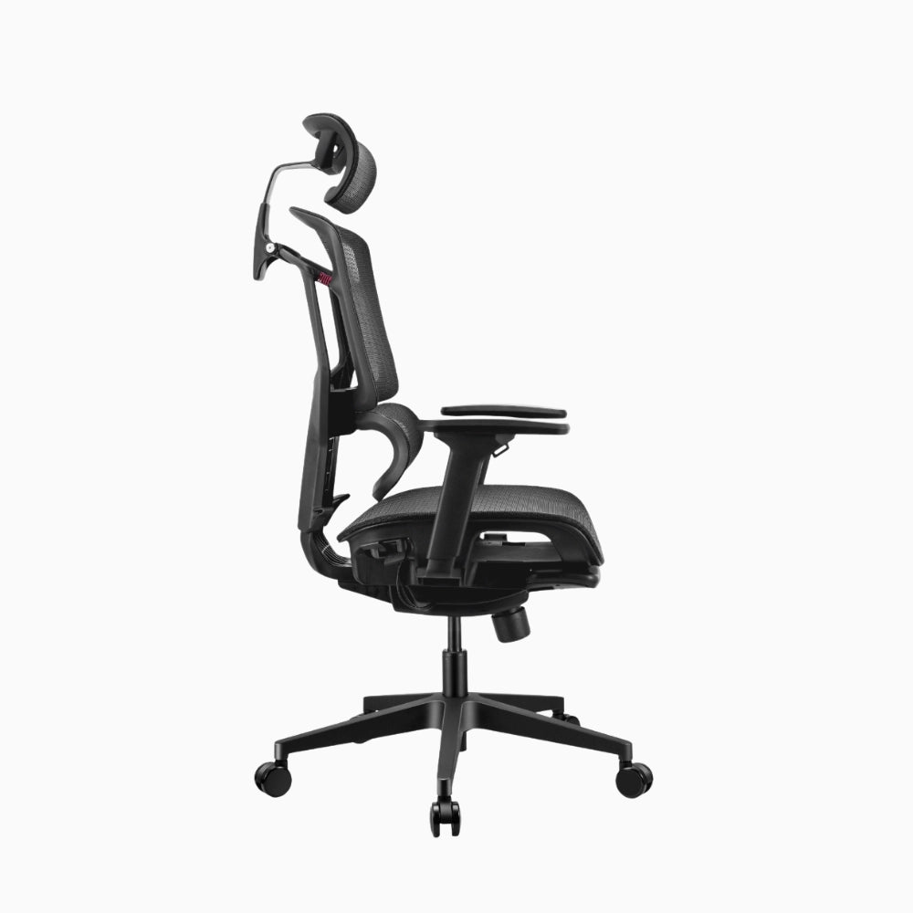 lumiva ergonomic chair 