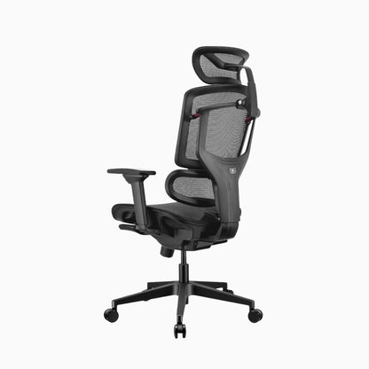 lumiva ergonomic chair 