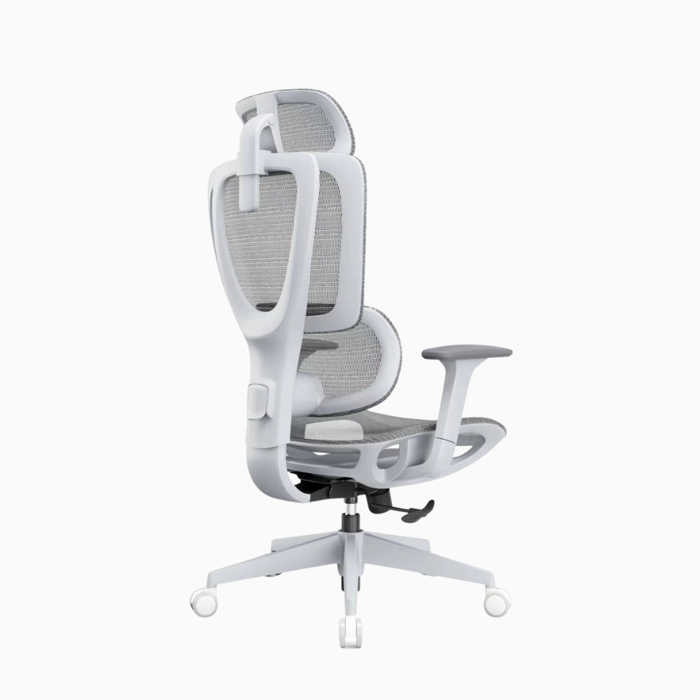 lumbar support chair 