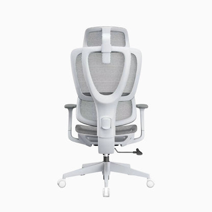 lumbar support chair 