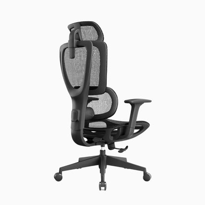 lumbar support chair 