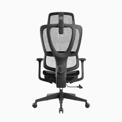 lumbar support chair 