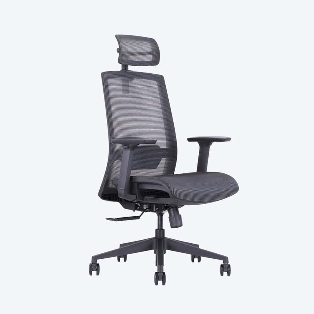 Ken Plus ergonomic office chair - serone asia