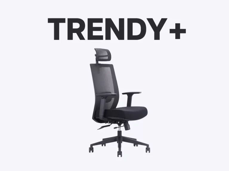 TD+ ergonomic office chair singapore