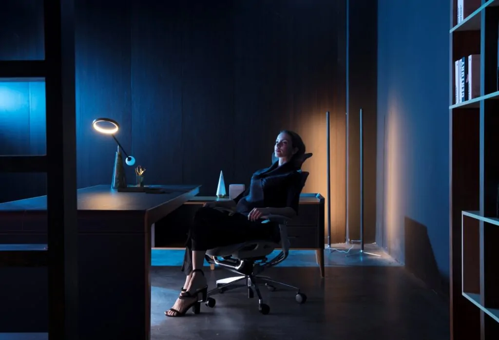 Executive ergonomic office chair in singapore